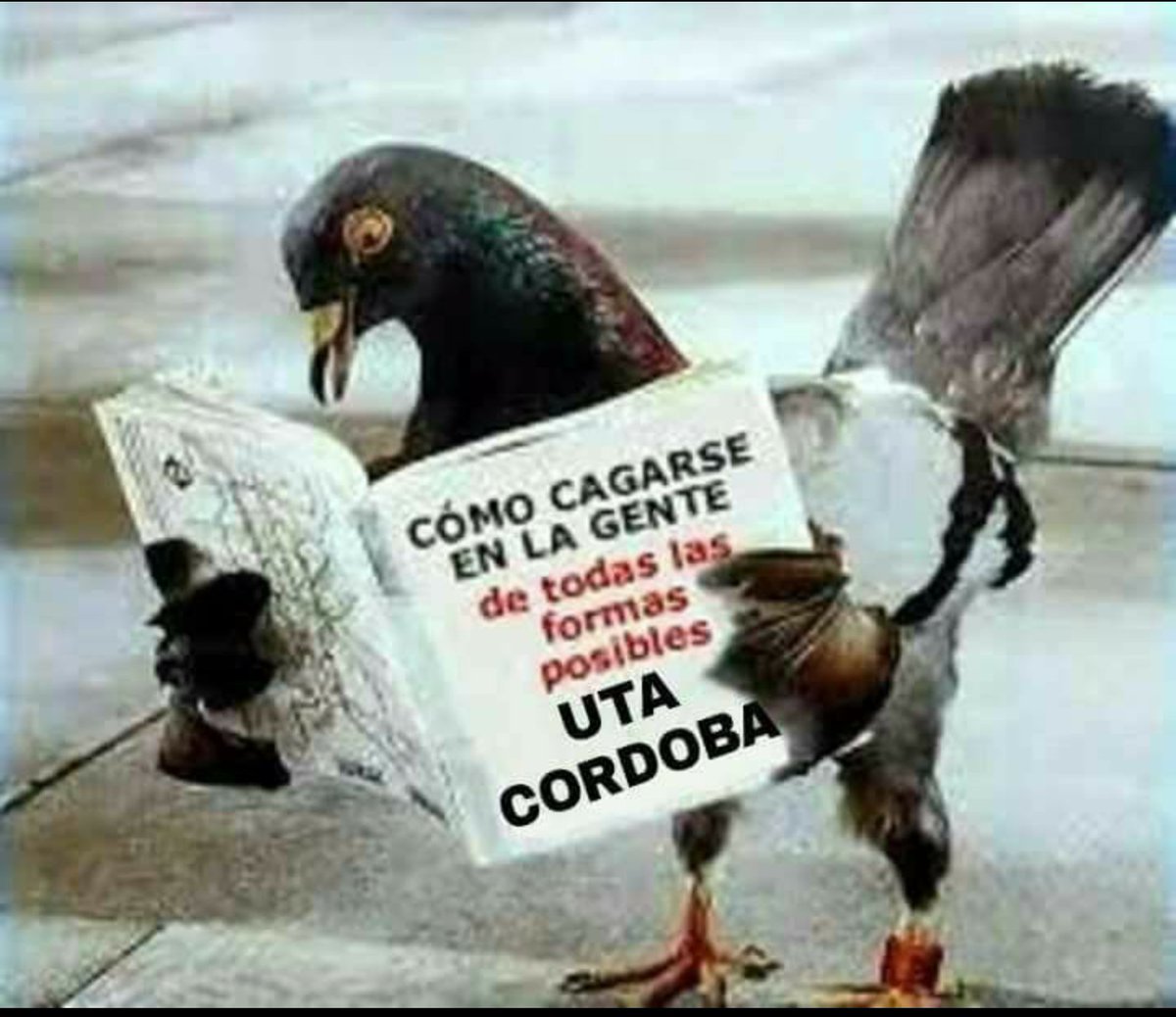 ASÍ ES " se cagan en la gente" <a href="/TransitoCordoba/">TransitoCordoba.com</a> <a href="/retioCBA/">retioCBA</a> <a href="/Cadena3Com/">Cadena 3 Argentina</a>