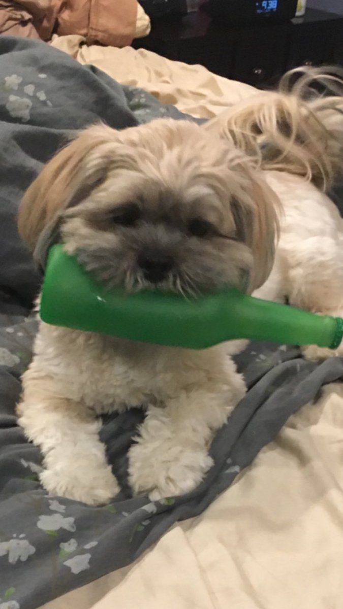 RTB_Realtor's tweet image. #Itsmy2ndbday! #boughthimadrink