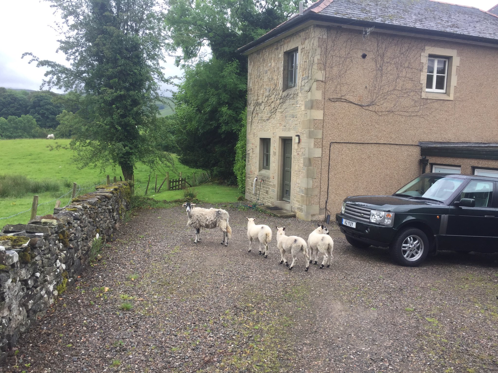 Sedgwick House on Twitter "Congestion in Sedbergh this morning....…