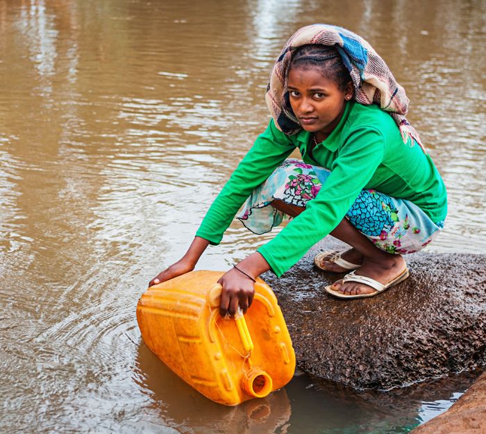 The Action Lab tweet media