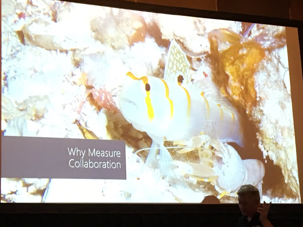 Gary_Ashby's tweet photo. This shrimp is blind but dogs holes. This fish sees but can't dig holes. Amazing Collaboration!
@diverdown1964
@share4business
 #share4Biz https://t.co/dRJIAjqvaH