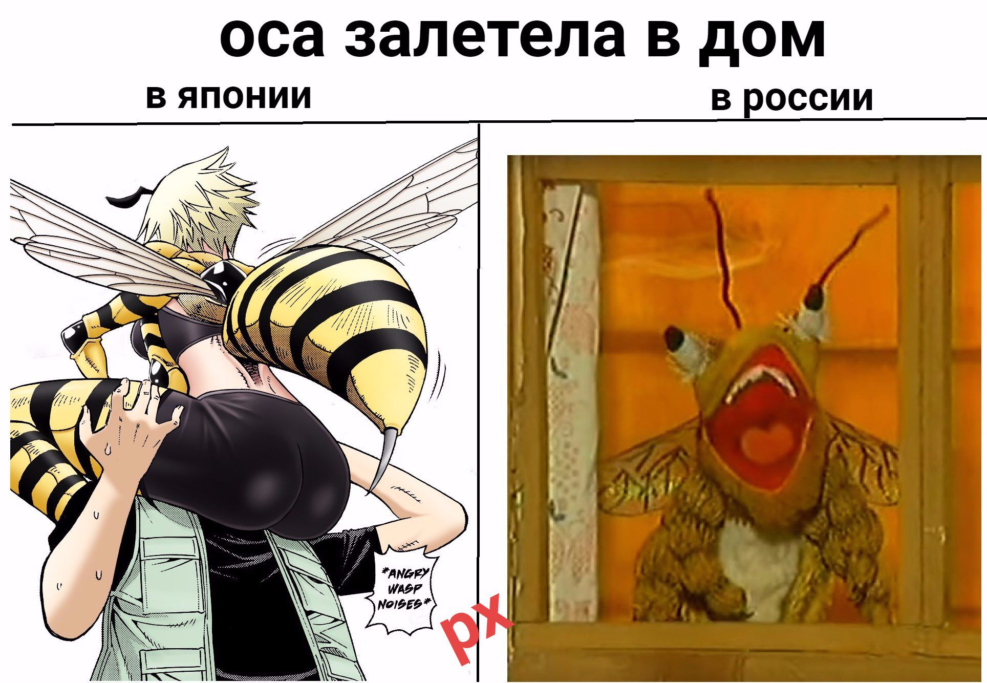 Оса залетела в дом в Японии в России Мем