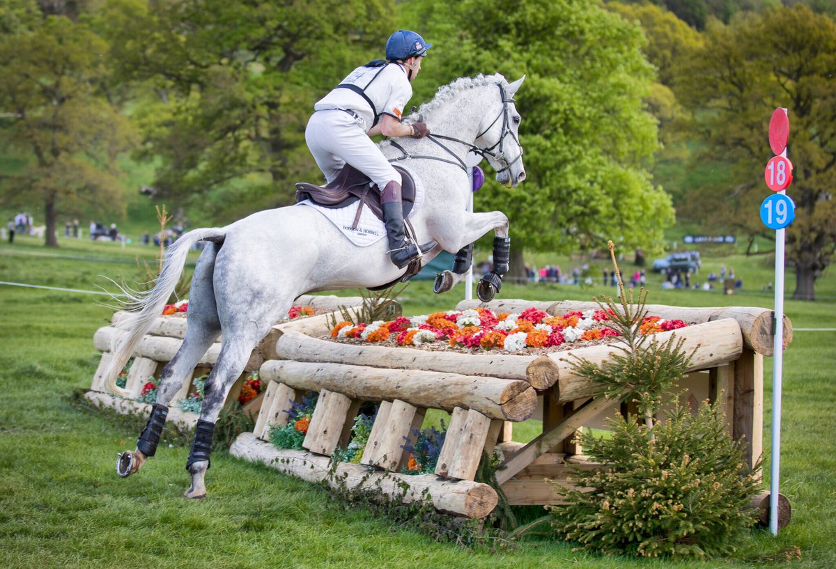 AnnaFranklin01's tweet photo. Very best of luck to @Harry_Meade and Away Cruising on your trip to @luhmuehlen2017 ❤️🐴 #eventing #eventing2017 #loveluhmuehlen xx https://t.co/vtr04eQ76d