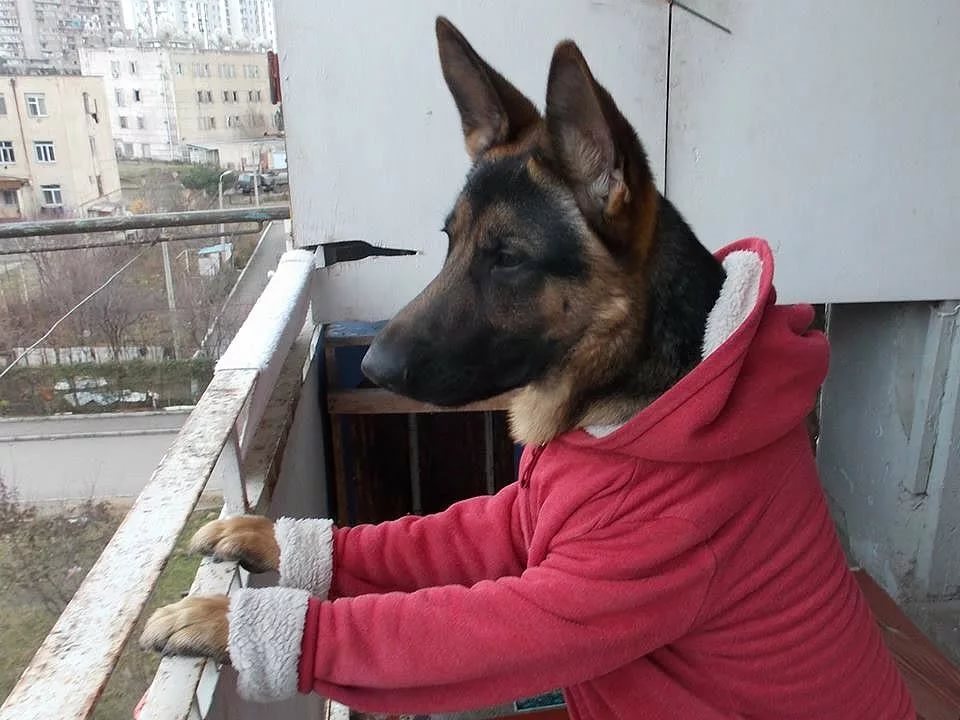 Опять похолодало прикольные картинки, анимацию фото