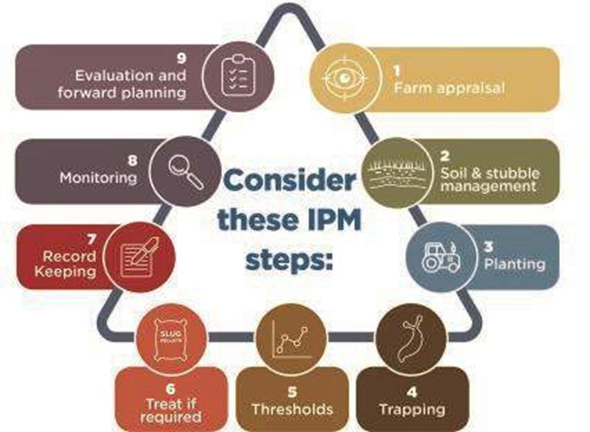 ChilternFarm's tweet photo. Chiltern #Metaldehyde slug pellets MUST only be used as part of an Integrated Pest Management (IPM) programme https://t.co/IJgdOR8yaX