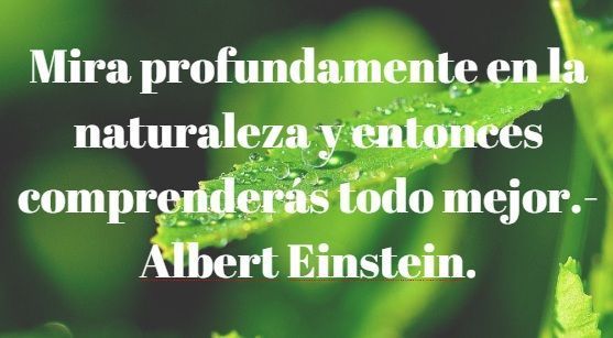 La naturaleza siempre lleva los colores del espíritu.-Ralph Waldo Emerson.