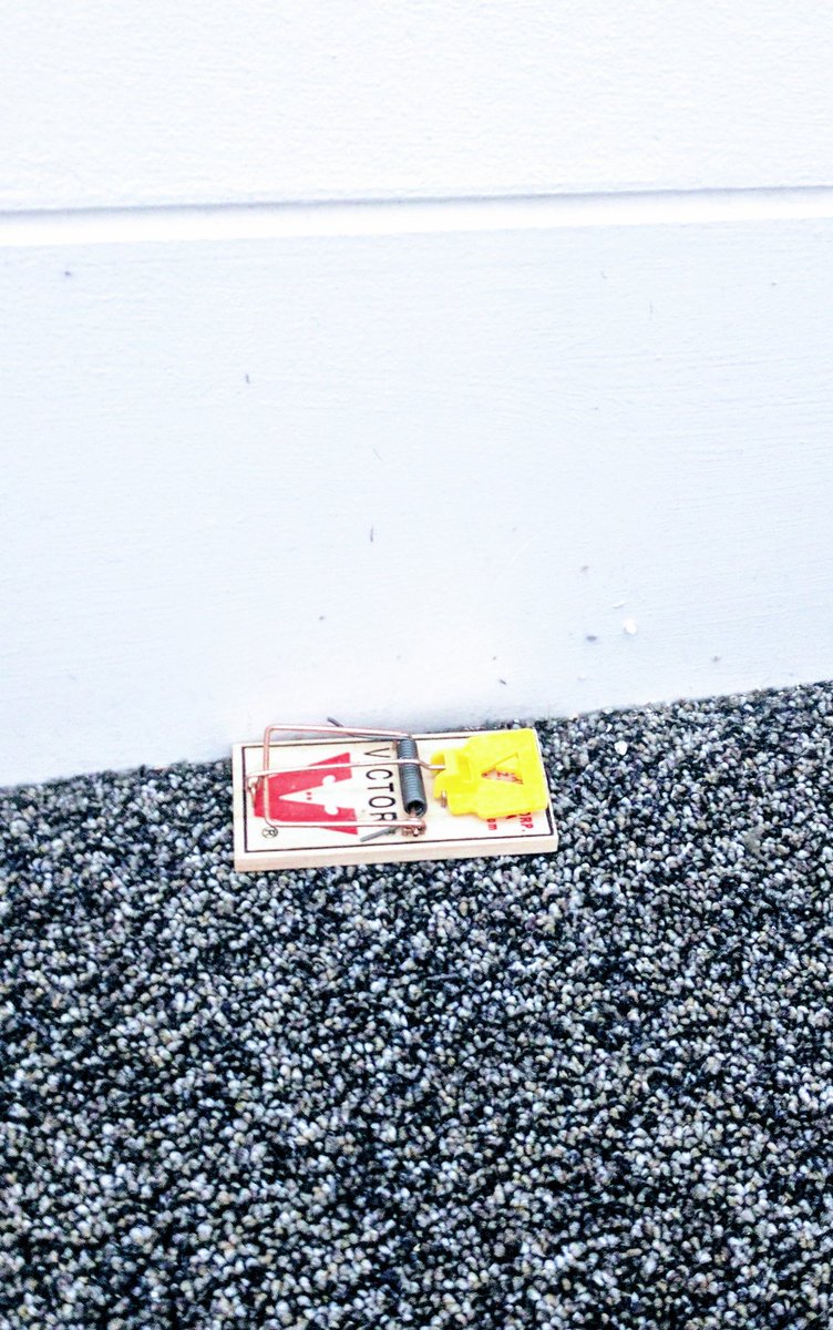 JoinedWorld's tweet image. Awesome start to the #LoRaAlliance AMM at Franklin Institute Philadelphia, maybe #MultiTechSys can upgrade the institute to a LoRa mousetrap