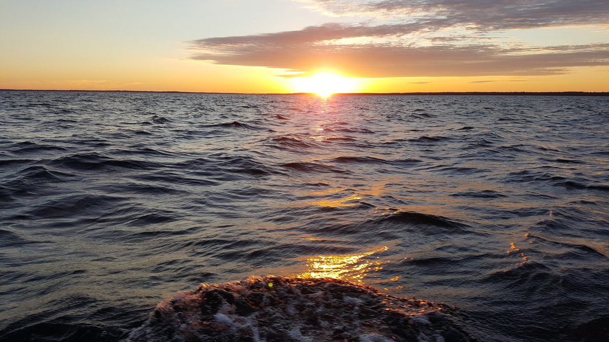 brobull's tweet photo. #onlyinmn #feelingminnesota #brosguideservice #casslake #leechlake #bigwinnie #lakewinnie #sunset #June2017 Bro https://t.co/rI6BYkcWme