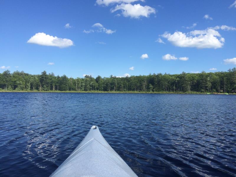 Stephanie Fischer tweet media