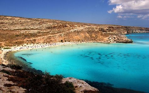 travocoast's tweet photo. Crystal clear water, superb fish, and beautiful view of #Italy’s popular #beachdestination #RabbitBeach will easily coerce to visit #Italy https://t.co/kVPNKtoLDm