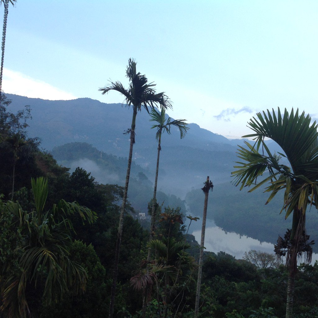 BT1949's tweet photo. Chempu, Munnar and endless selfies https://t.co/5EVJjfg9YU https://t.co/NFARUtZpJV