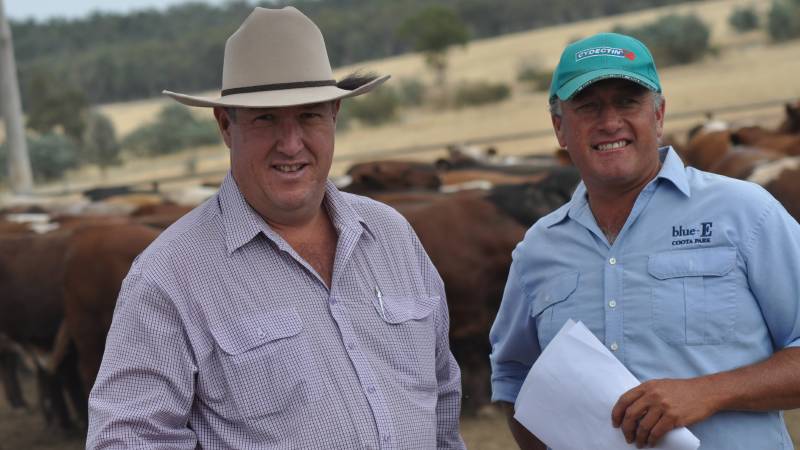thelandnews's tweet photo. The Beef Spectacular Feedback Trial entries now open. https://t.co/u2olEqZIp9 https://t.co/djENazCFTL