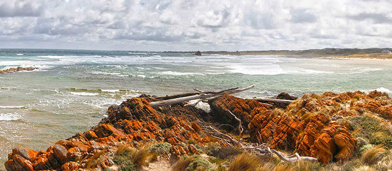 TuruAU's tweet photo. Tasmania’s western edge is ideal for wilderness adventure and no place is better suited than Arthur River. https://t.co/yP6N4GI90w https://t.co/sFOgtLKH5x