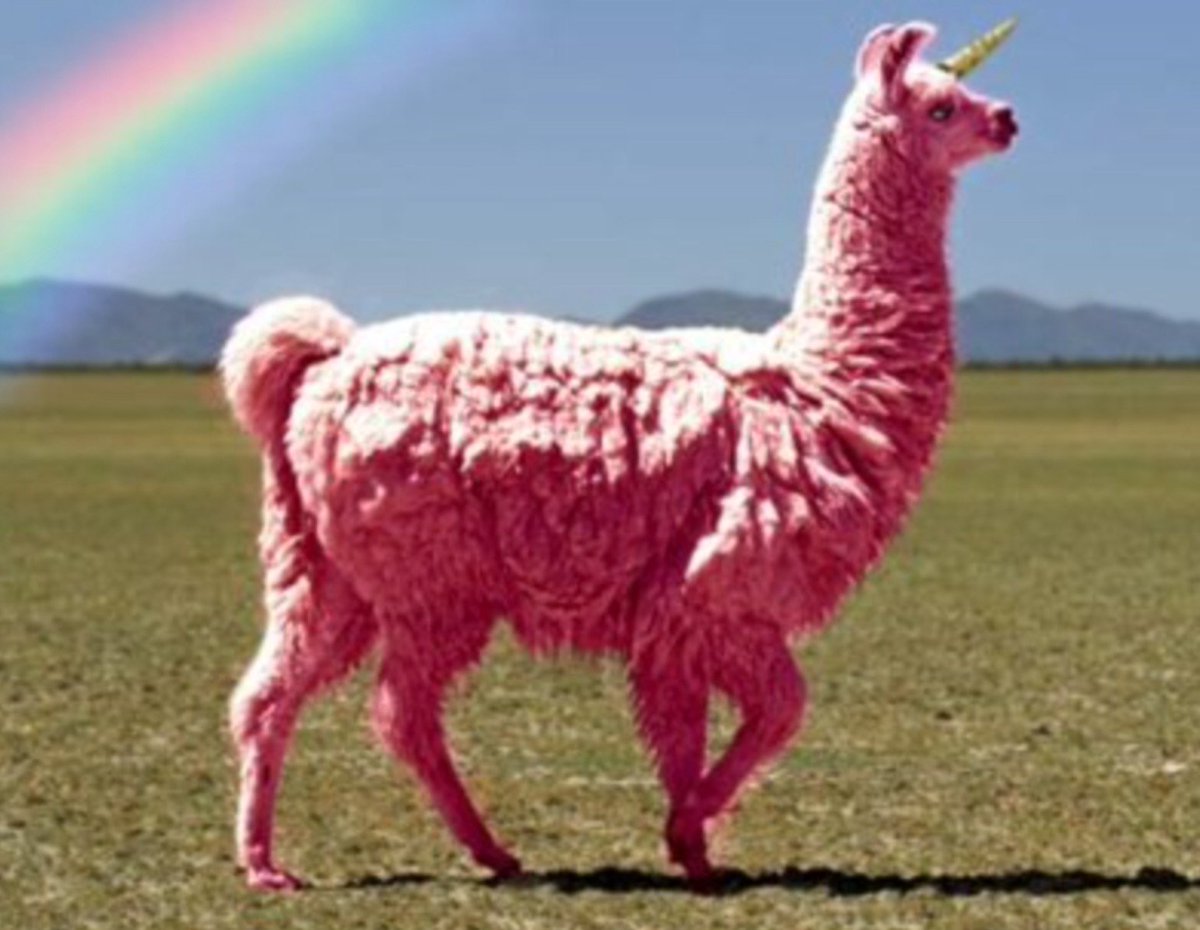 If only Life were more rainbows and Llama Unicorns!