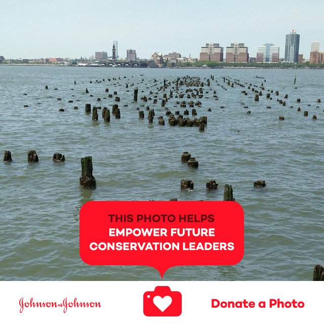 anitasunshine93's tweet photo. Remnants of a pier #hudsonriverpark #SCAnyc #jnj #donateaphoto #CareToRecycle https://t.co/Mfr7D14AfU https://t.co/EUiSdAfOaX