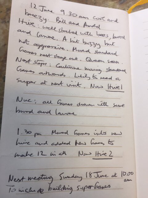 bee7forestgate's tweet image. 