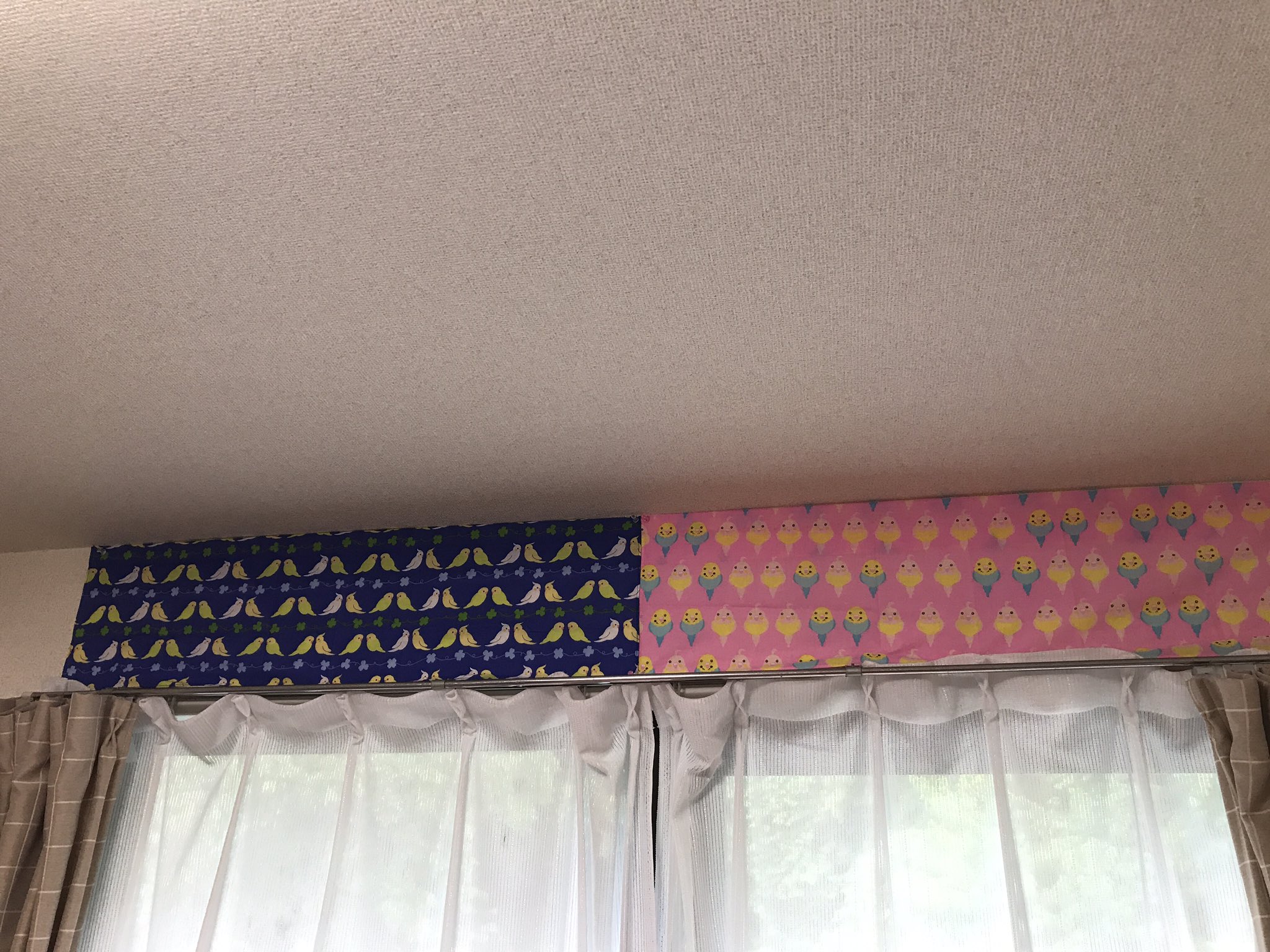 تويتر さぴか على تويتر カーテンレールに乗って 壁紙齧って剥がすぼんちゃん 賃貸なのに ってことで セリアで見つけたインコ手ぬぐい貼り付けました セキセイインコ セリア手ぬぐい T Co Am5hltzqo8