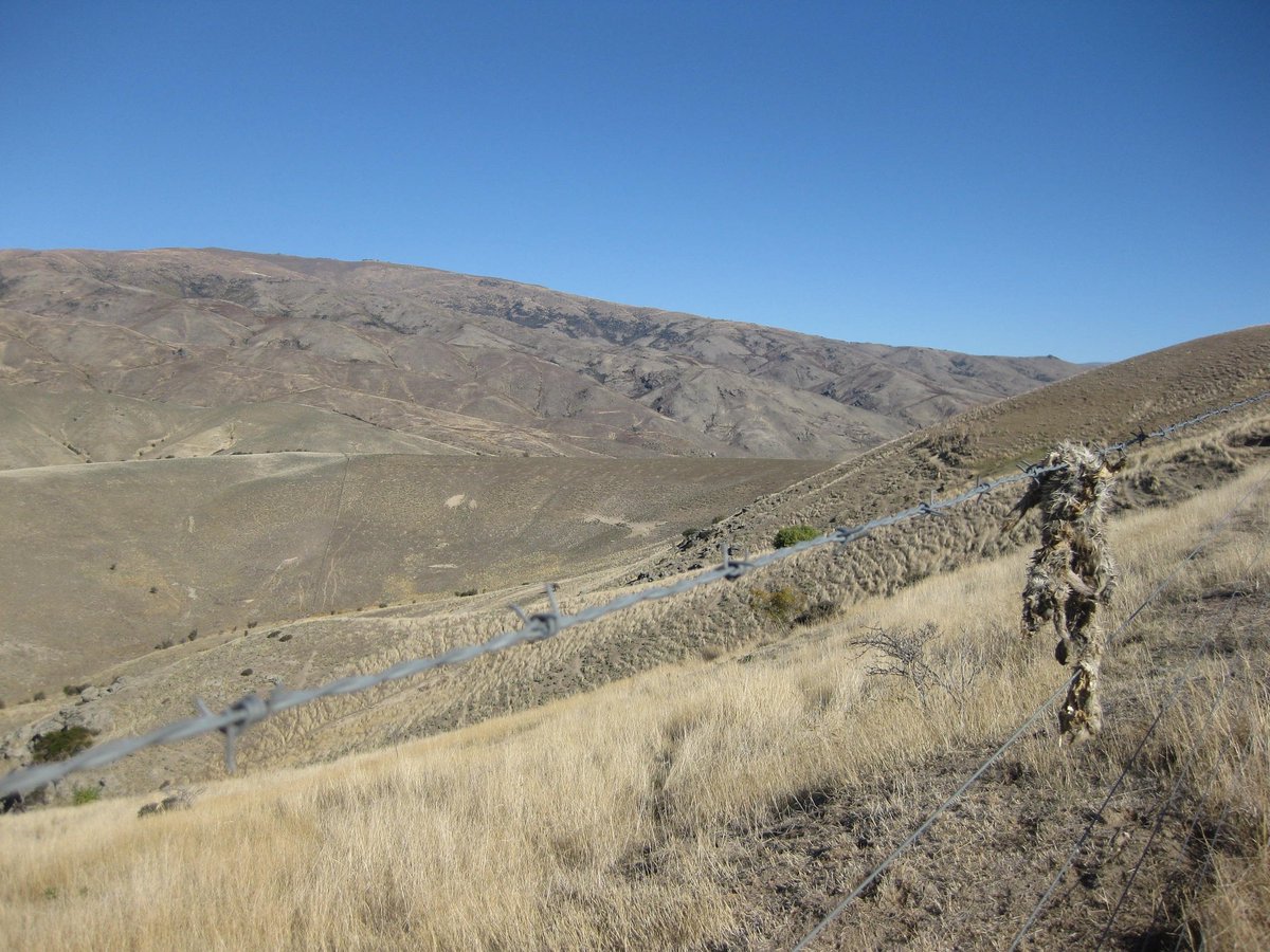 PhillyTheHunt's tweet image. 'Run Rabbit Run' - Mackenzie Country, NZ. Don't let the man get you down. #runrabbitrun #matthewryan #punkrock against #anxiety