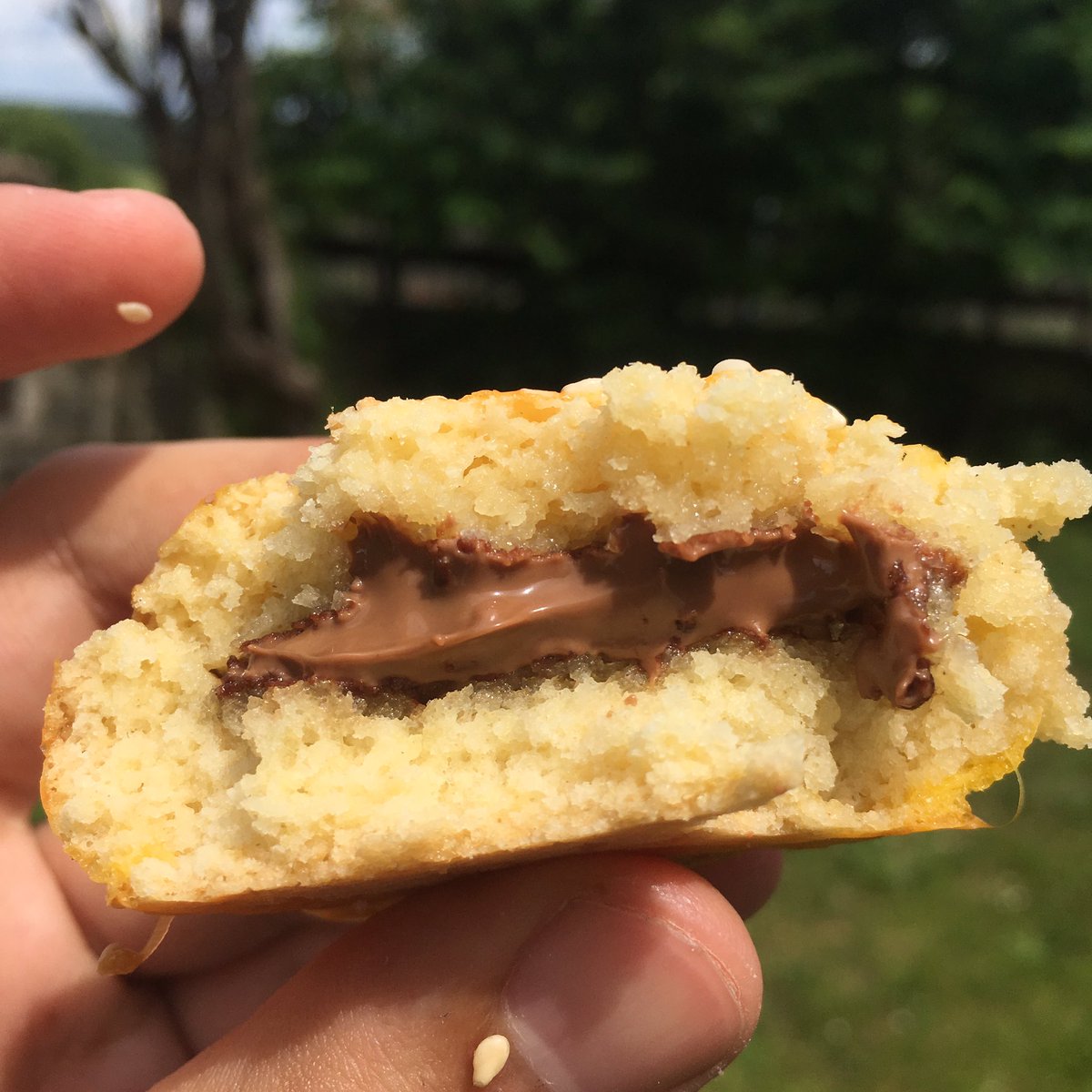 Le Boulou De Lili tweet media