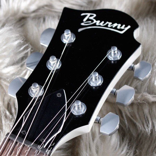 BUCK-TICKのギタリスト「星野英彦」氏が愛用する、「NSG-HH CUSTOM」の