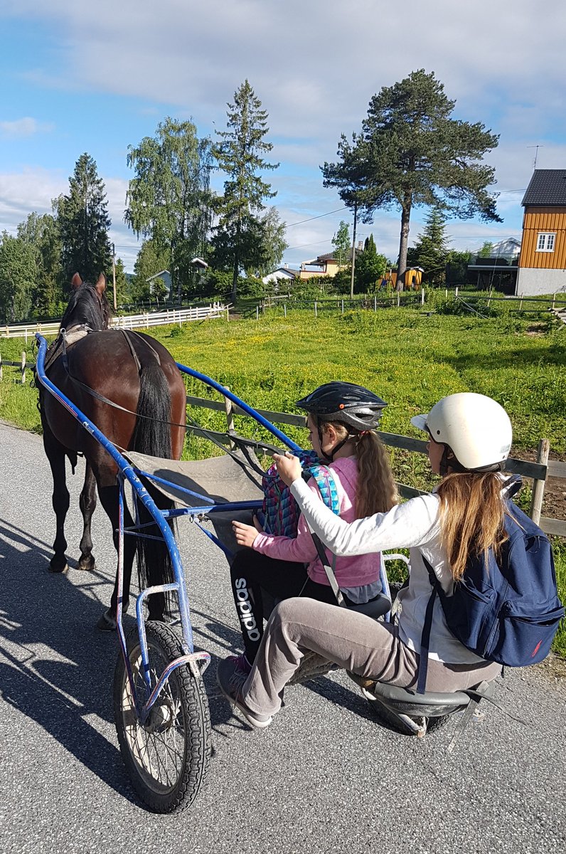 Løpshest i helgen, skoleskyss-hest på ukedagene🐴 #bornintheusa #potet