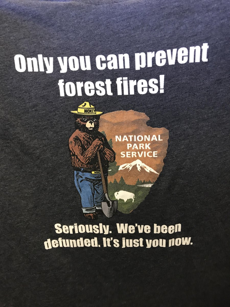 Only You Can Prevent Forest Fires Defunded T-Shirt