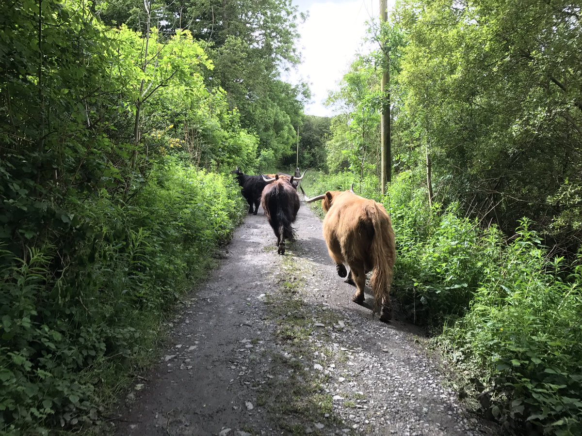 Dr Jim Hopkins MRCVS tweet media