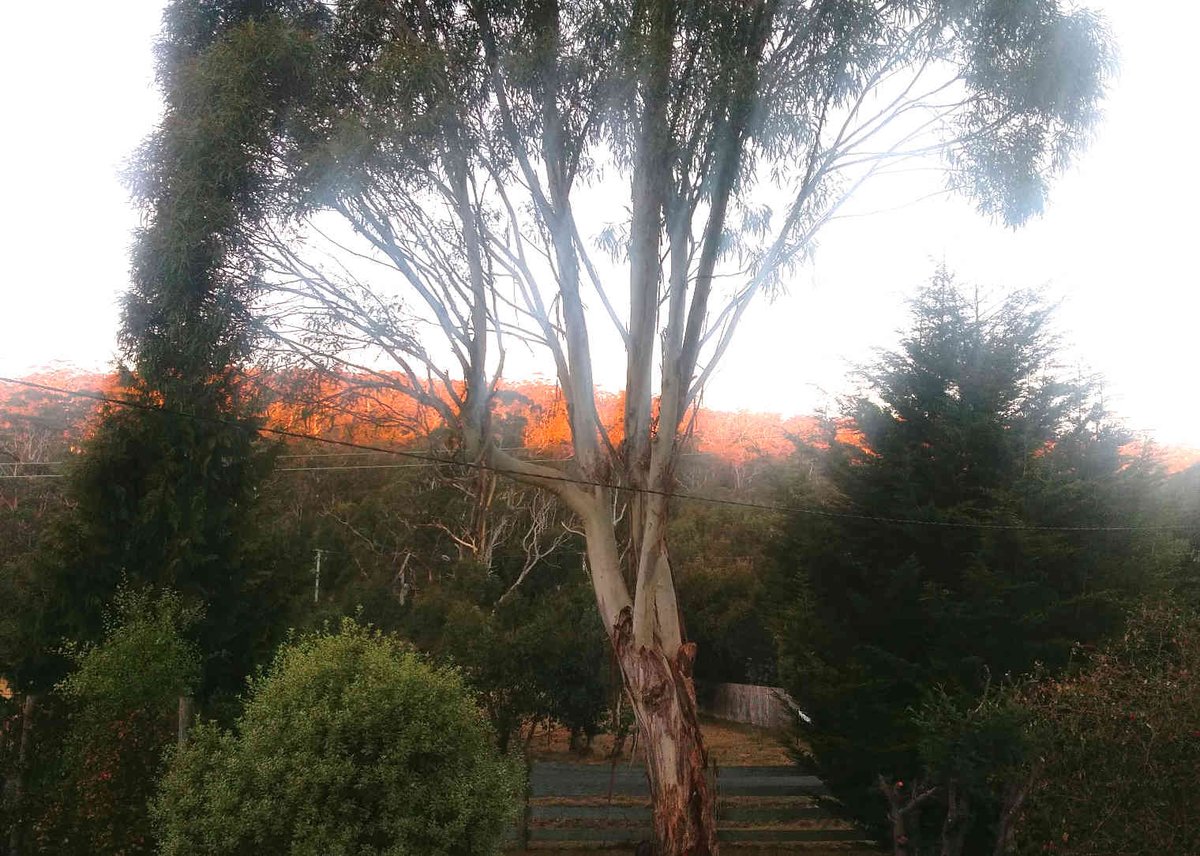 Messiah Fishing tweet media