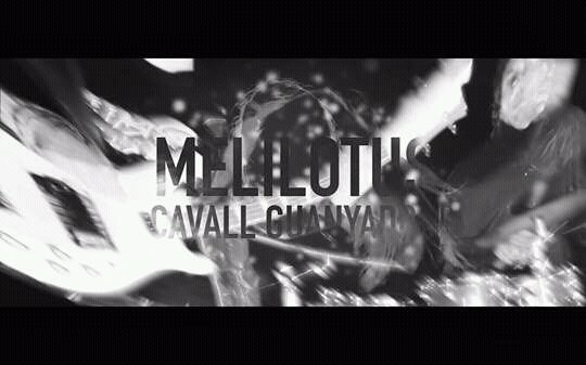 Melilotus - Cavall Guanyador: youtube.com/watch?v=tgtJHE…