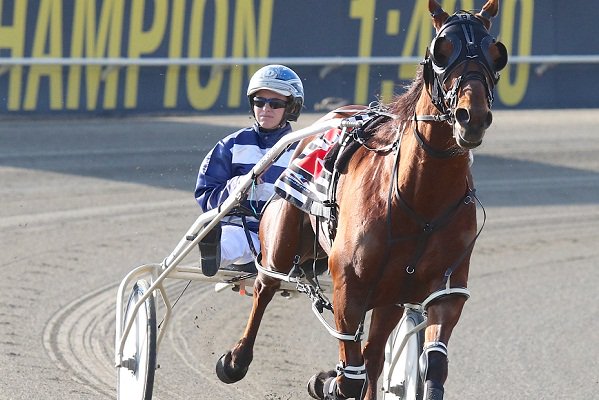 Racing_QLD's tweet photo. Go you good thing! Destreos is just five wins away from notching up a ton, after saluting at @AlbionParkHRC! #95notout @UBET https://t.co/rVzm4Tc8Oi