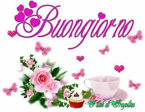 Julia28245652's tweet photo. @nievesesnaola @Merche00275337 @yoli_49 @consumg72 @SofiaSfcst21 @silviafreireric @Granadinanoeli @NoMeGustas18 @MariitaHP @Alexgonzpersemp @marialocci33 Feliz martessss 😊 https://t.co/41HRq8TTGD