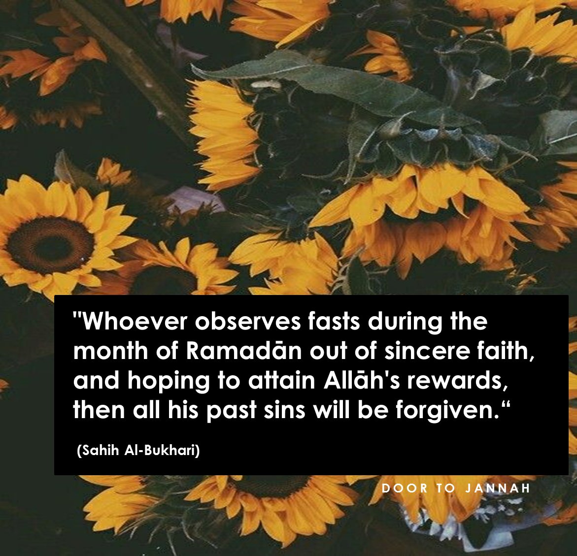 doortojannah's tweet photo. Whoever observes fasts during Ramadān out of sincere faith, and hoping to attain Allāh's rewards, then all his past sins will be forgiven. https://t.co/n7B2lwdr9d