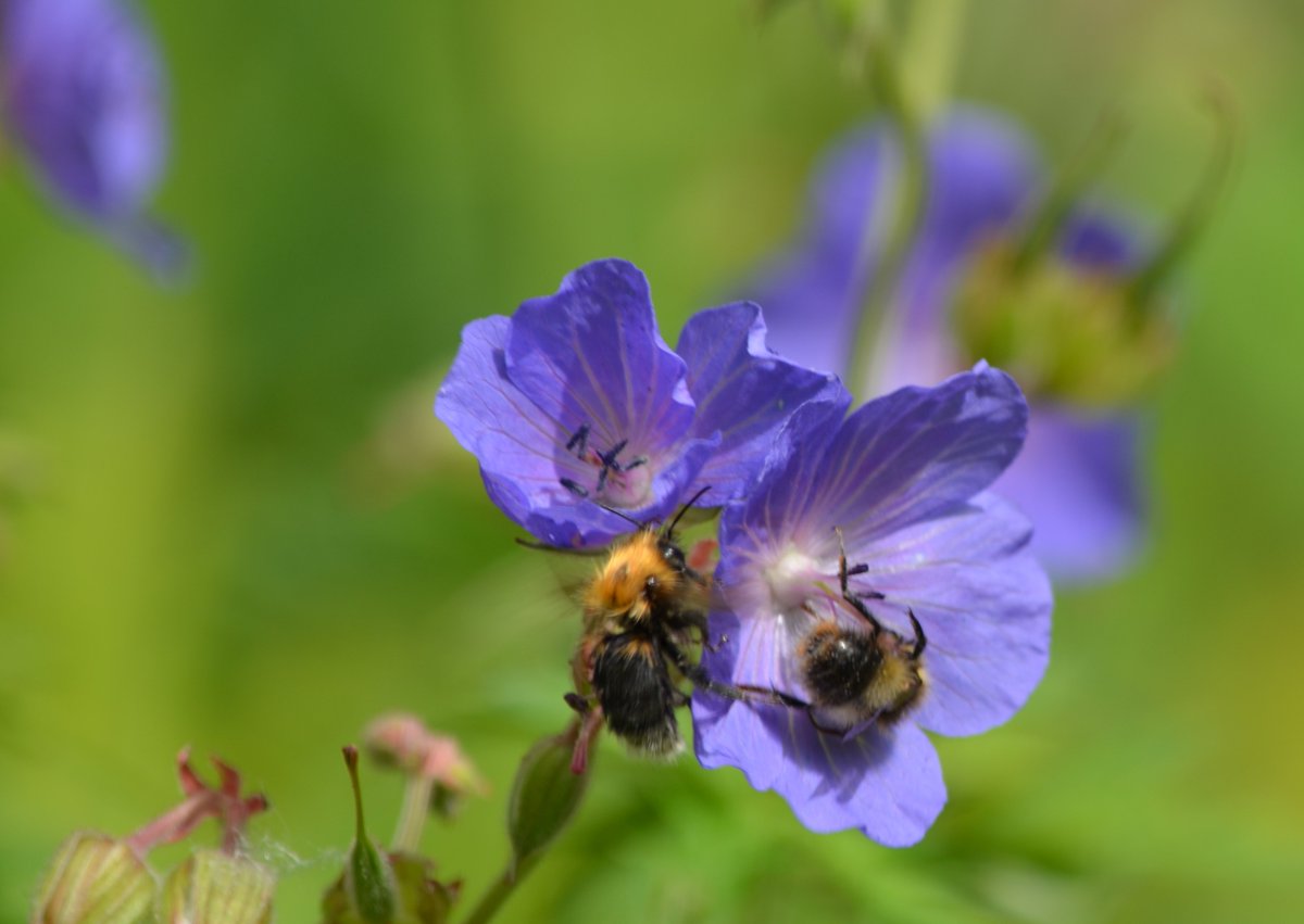#charitytuesday shoutout to groups in #Keynsham #Saltford great work #buildingcommunity #KindKeynsham #kindness_connects