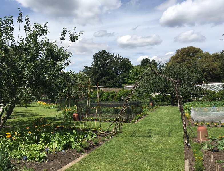 Fulham_Palace's tweet photo. It's a beautiful day and our garden is blooming! #SummerIsHere https://t.co/NvAYjO6Q7C
