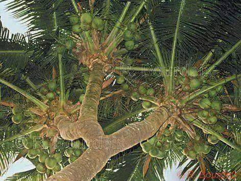 अ runकुमार   पोtdar tweet media