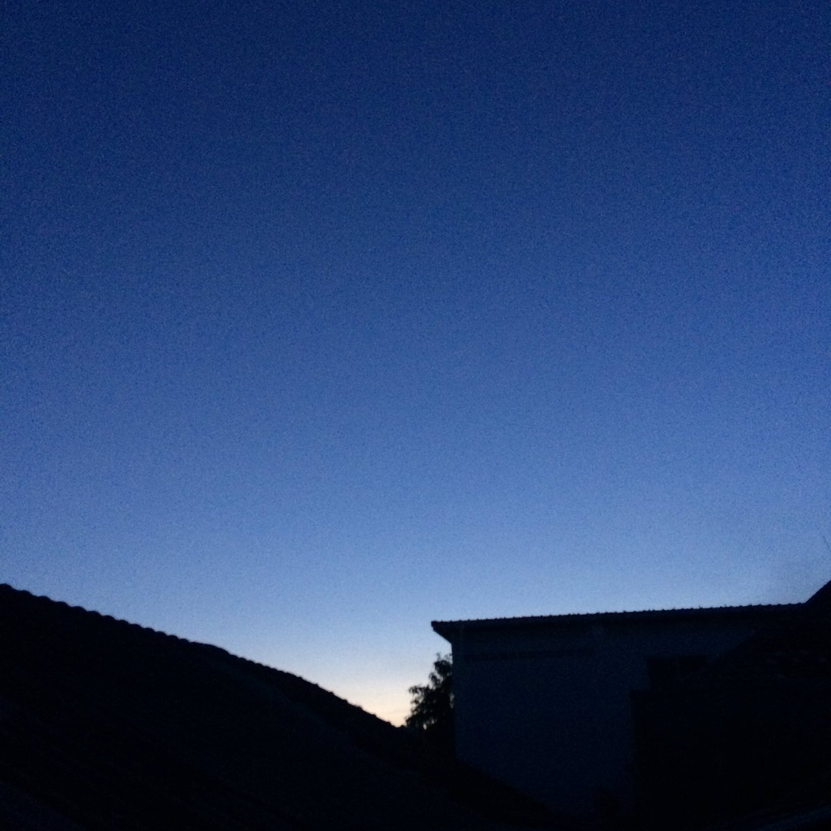 blue—summer tweet media