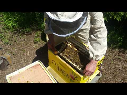 Beekeeping HQ tweet media
