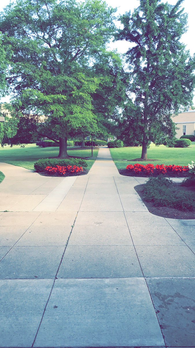 MSJ_Admissions's tweet photo. Another beautiful morning on the campus of Mount St. Joseph. There's no place like home! #MSJU https://t.co/AWF7KHpGtE