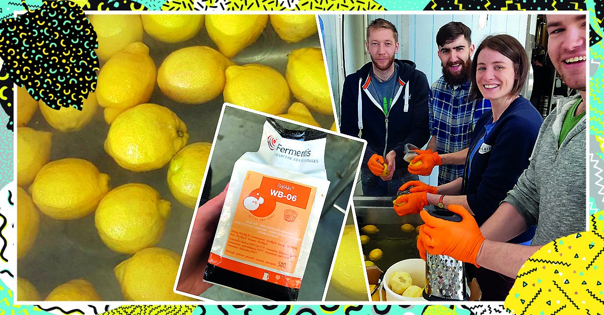 RascalsBrewing's tweet photo. Rascals &amp; @Brewtonic have dreamt up a collab brew thats a cut above the zest! Watch out for this one at the end of the month, draught + cans https://t.co/kU8OR3XkXp