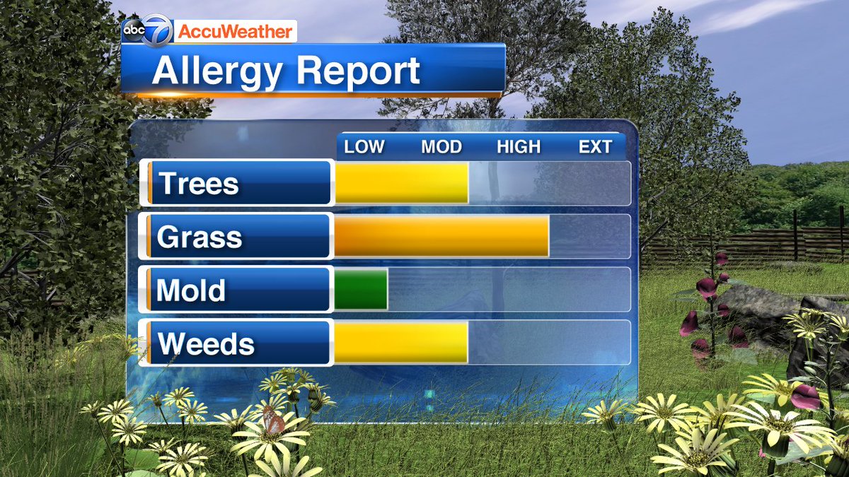 ABC7Chicago's tweet image. POLLEN REPORT:  #Chicago