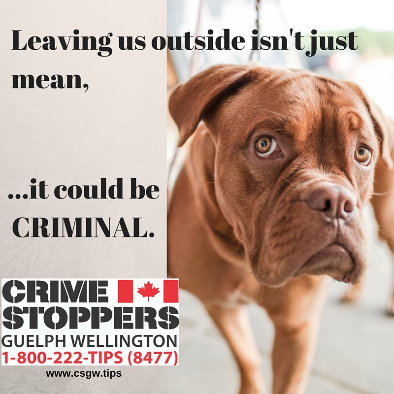 CSGWtips's tweet photo. Heat is hard on pets too. Give them #water &amp; escape from the heat. We take info on #abuse #neglect? 1-800-222-TIPS https://t.co/GwESPDvBuF https://t.co/22GtgSIsnC