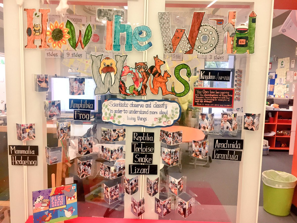 JeikaAustin's tweet photo. Displaying and #documenting #inquiry #howworldworks #livingthings #earlyyears #pypchat #ibpyp #pyp https://t.co/vvADzFqwK5