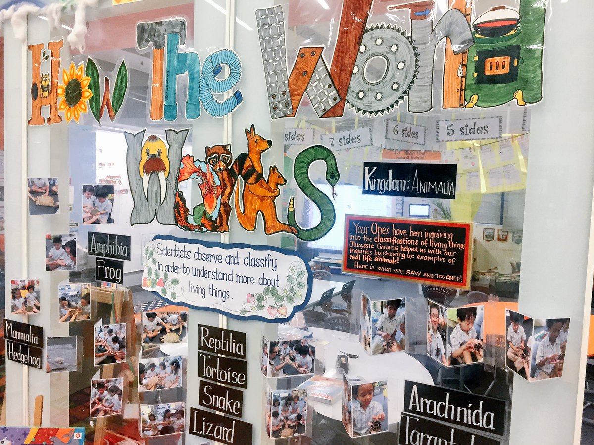 JeikaAustin's tweet photo. Displaying and #documenting #inquiry #howworldworks #livingthings #earlyyears #pypchat #ibpyp #pyp https://t.co/vvADzFqwK5