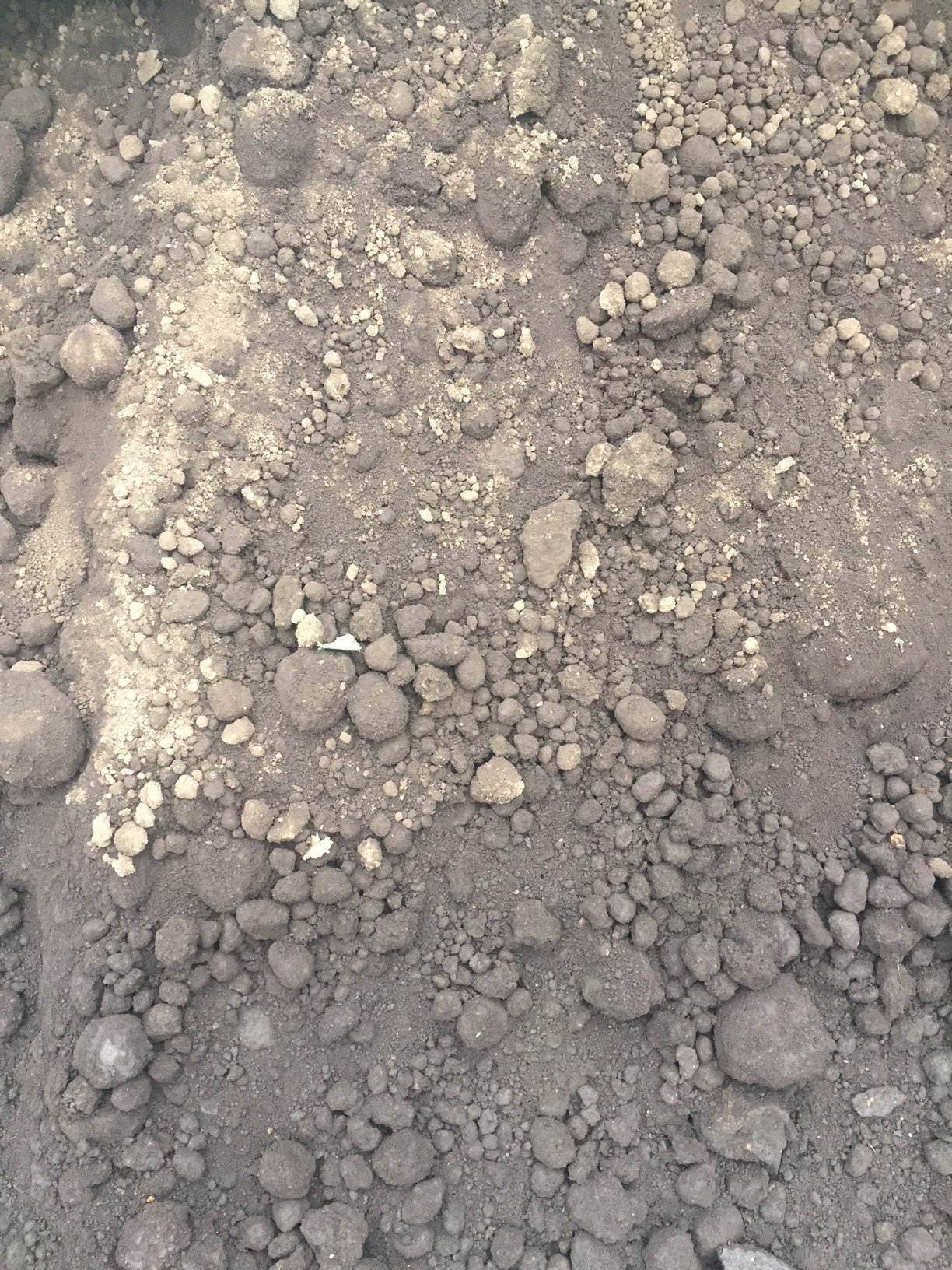 ジョイフル本田 ガーデンセンター ガーデンセンター幸手店 埼玉県 幸手店では砂 黒土 砕石の立米販売を行っております 平ボディートラックをお持ち込みの方に限り ショベルローダーにてお載せ致します 大量に必要な方にオススメです 立米販売