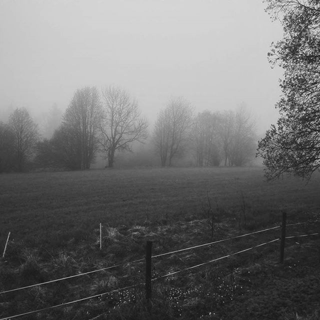 oktobernatt_'s tweet photo. New blog post up.
https://t.co/x5C6ihi72l
#gloomy #naturephotography https://t.co/xG7siU8mZt