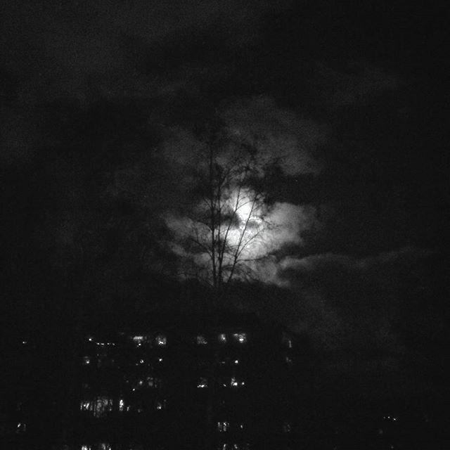 oktobernatt_'s tweet photo. I'm changing my name here on Twitter as I'm starting to get my #blog up and running. #naturephotography
https://t.co/nJi8G5oWid https://t.co/vOOaD7pvgC