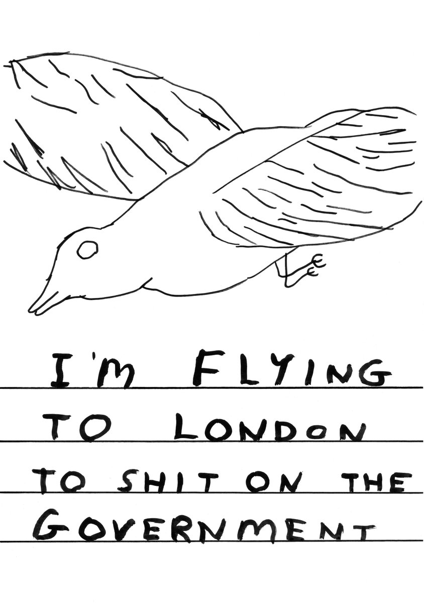 davidshrigley's tweet photo. ...the so-called government https://t.co/VNlJq6gjgg