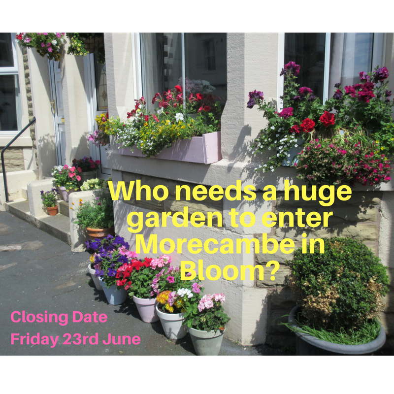 Morecambebloom's tweet photo. Enter at https://t.co/5ZeIdPF6or https://t.co/9BJm8MhaHC