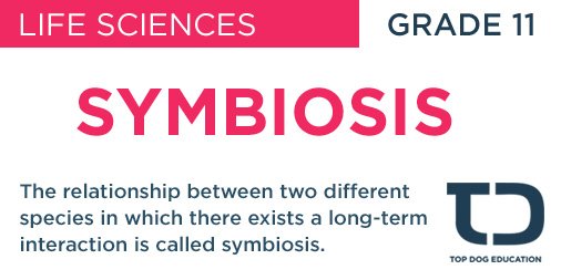 TopDogEducation's tweet photo. Symbiosis defined. #grade11 #lifesciences #MyTopDog #topdogeducation #symbiosis #exams #study #onlinelessons #education https://t.co/E86z2BnnCu