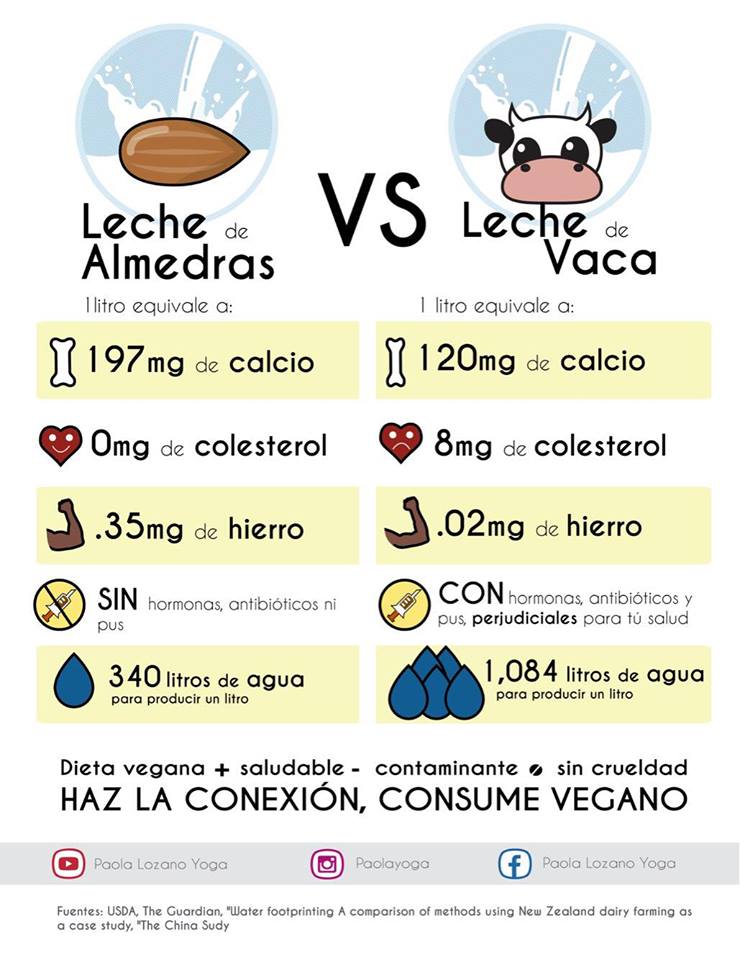 La leche de almendras tiene más calcio, más hierro, menos colesterol, no tiene pus y gasta menos agua por litro que la de vaca. Hazte vegano.